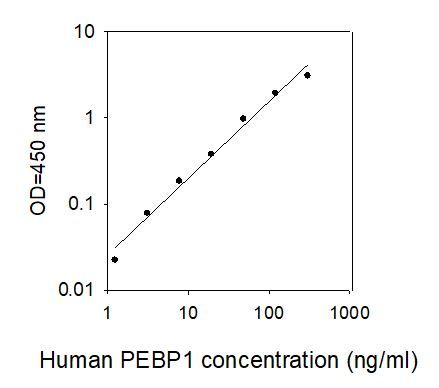 Standard Curve
