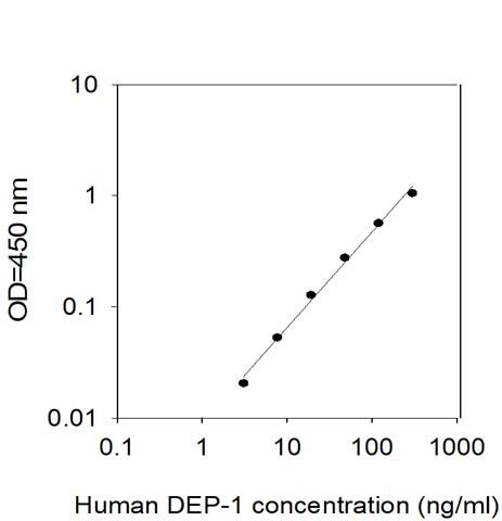 Standard Curve