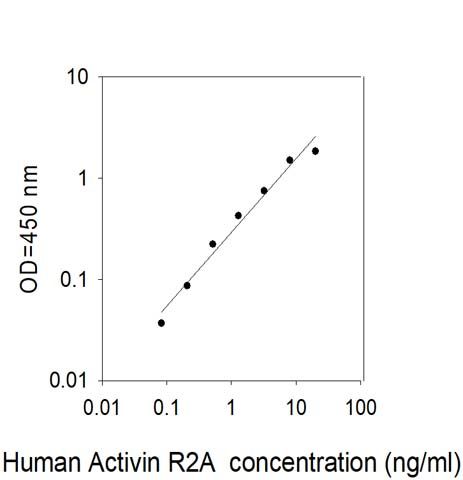 Standard Curve