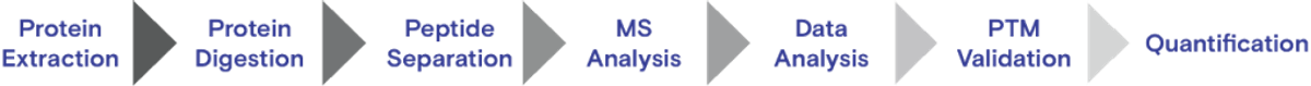Major steps involved in MS PTM detection