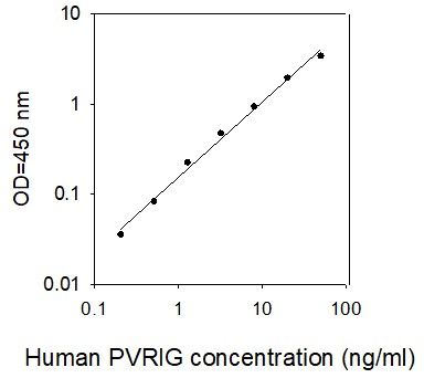 Standard curve image