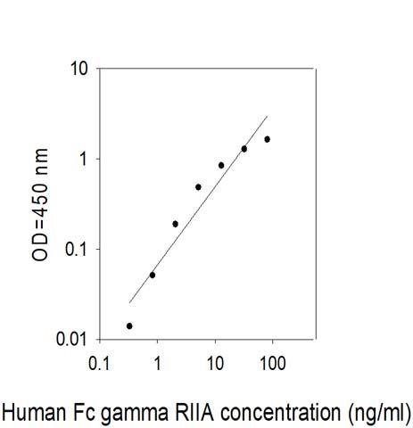 Standard Curve