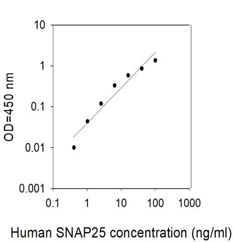 Standard Curve