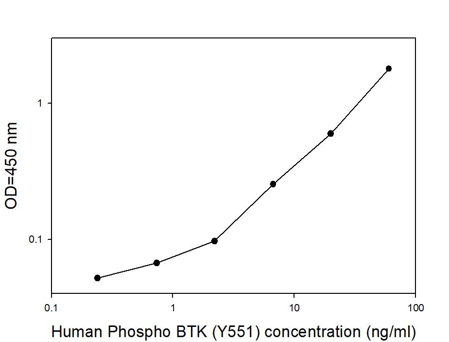 BTK (Y551) - Positive Control