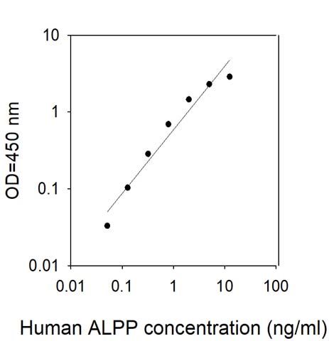 Standard Curve