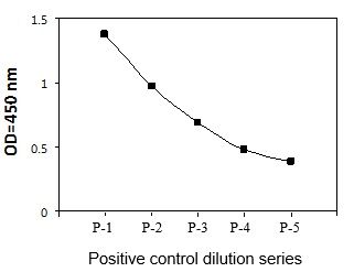 MKK3 (S189) ELISA - Positive Control