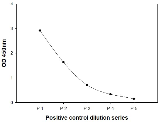 Positive Control