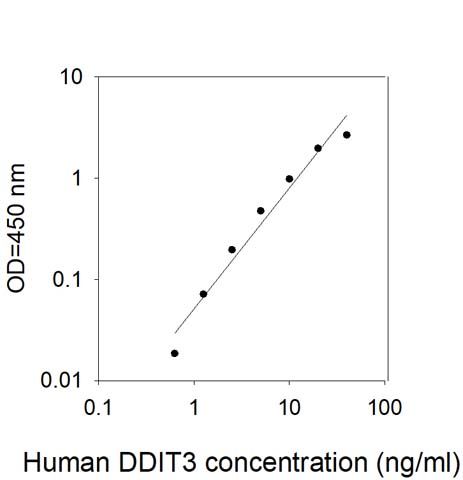 Standard Curve