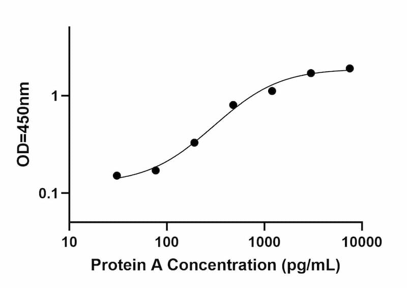Standard Curve