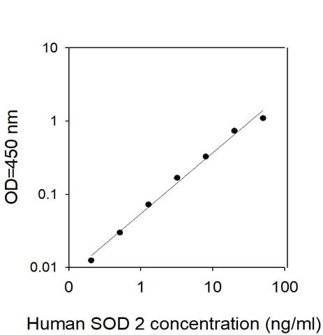 Standard Curve