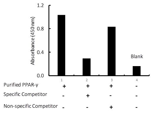 Transcription factor assay of PPAR-gamma from 0.3 ug purified recombinate PPAR-gamma protein with the specific competitor or non-specific competitor. The result shows specific binding of PPAR-gamma to the PPAR-gamma DNA binding site.