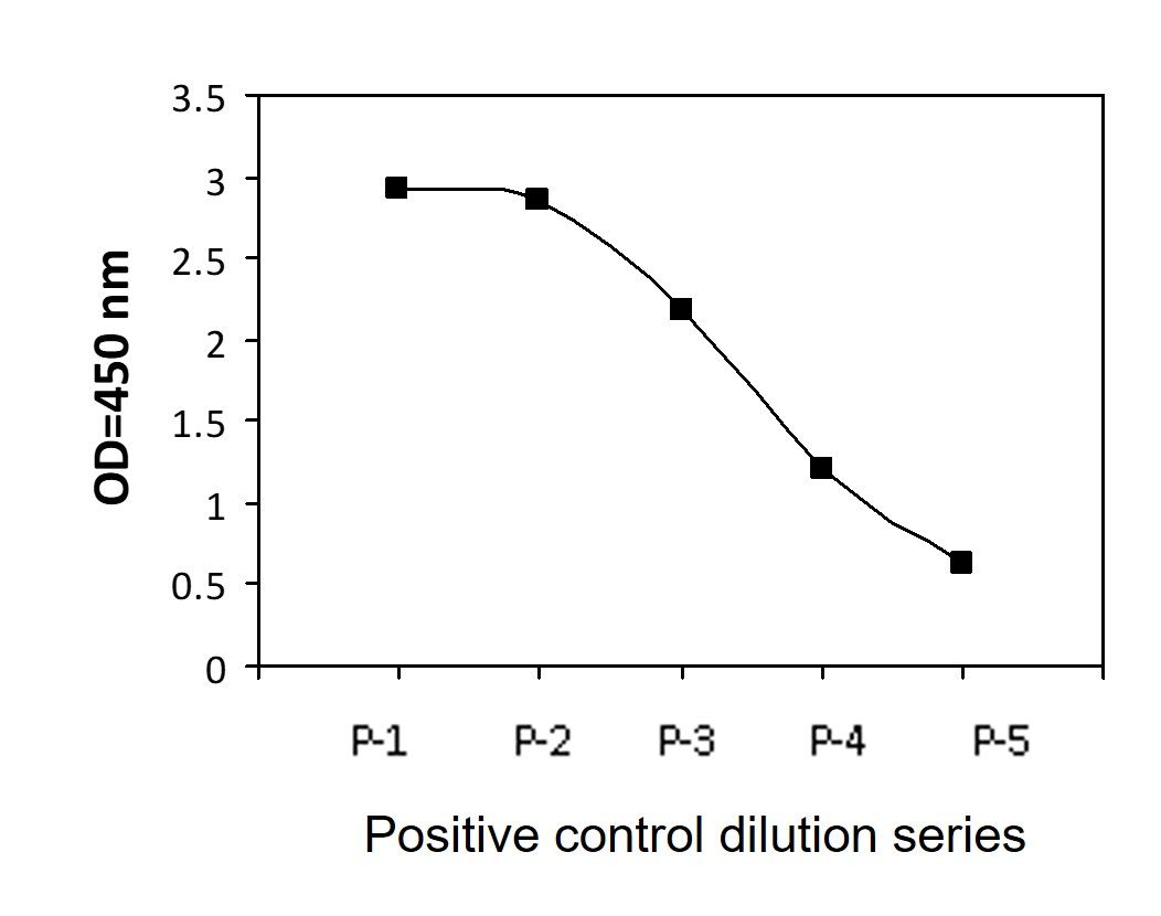 LCK (Y505) - Positive Control