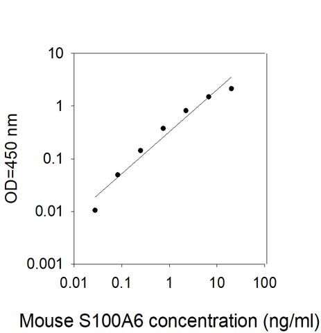 Standard Curve