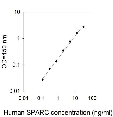 Standard Curve