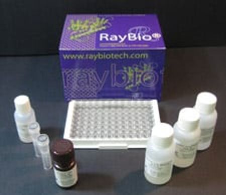 ELISA Kit