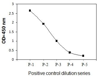 PEL-EphA4-Y Positive Control