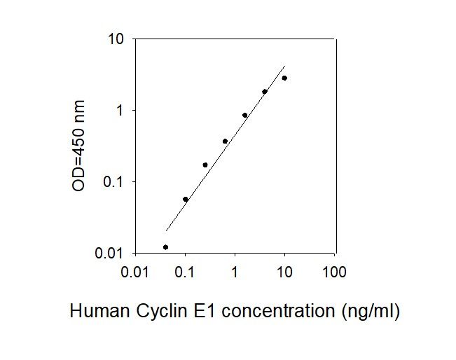 Standard Curve