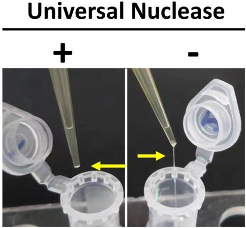 Universal Nuclease digestion reduce sample viscosity