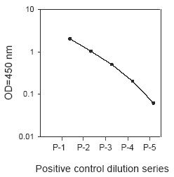 PEL-STAT3-Y Positive Control