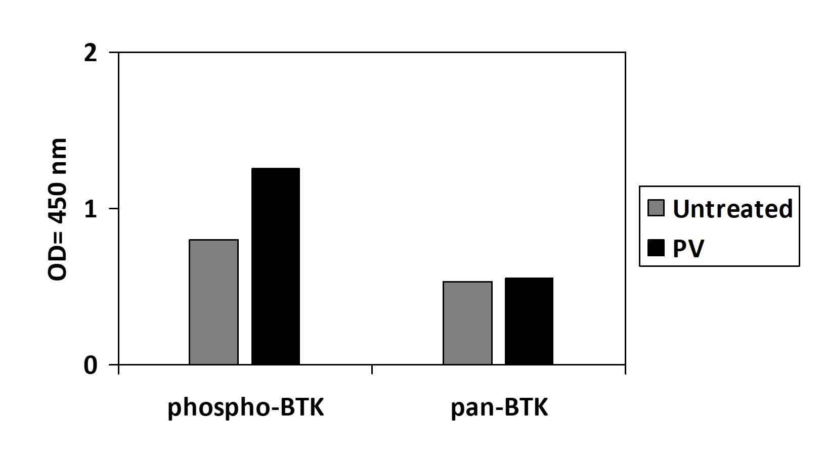 BTK (Y223) - ELISA Kit
