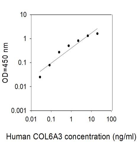 Standard Curve