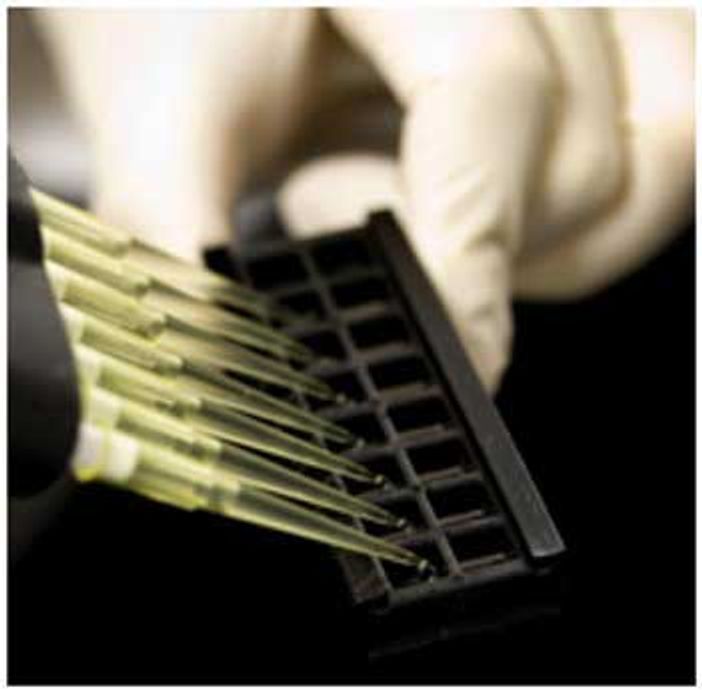 Glass-based antibody array (Quantibody®)