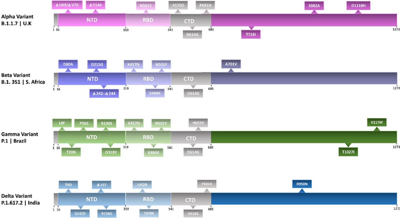 SARS-CoV-2 Variants and their respective mutations