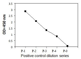 PEL-MCSFR-Y Positive Control