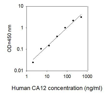 Standard Curve