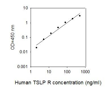Standard Curve