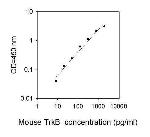 Standard curve image