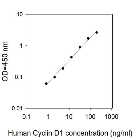 Standard Curve