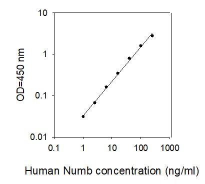 Standard Curve