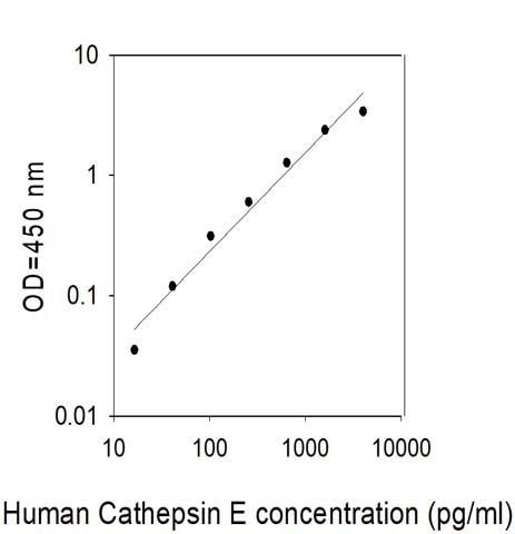 Standard Curve