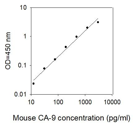 Standard Curve