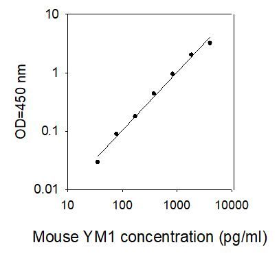Standard Curve