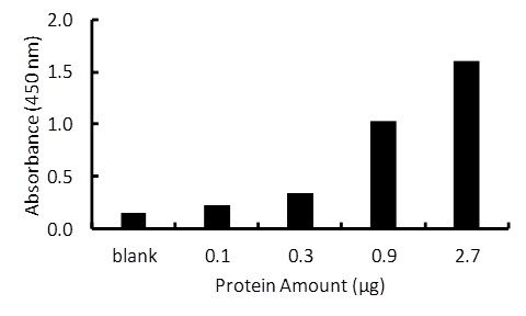 Transcription factor assay of PPAR-gamma from purified recombinate PPAR-gamma protein with the RayBio PPAR-gamma TF Activity Assay Kit