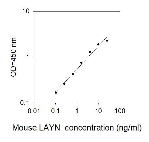 Standard curve image