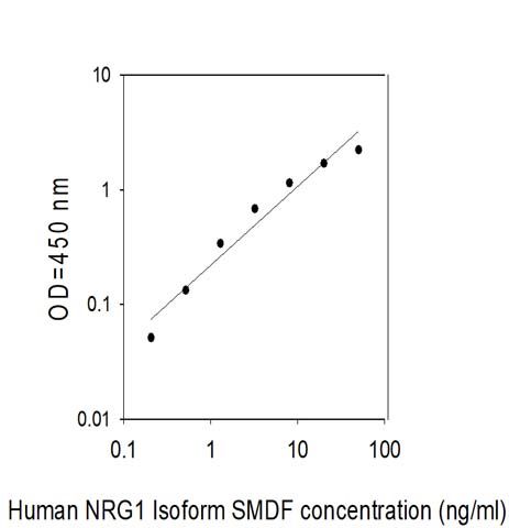 Standard Curve