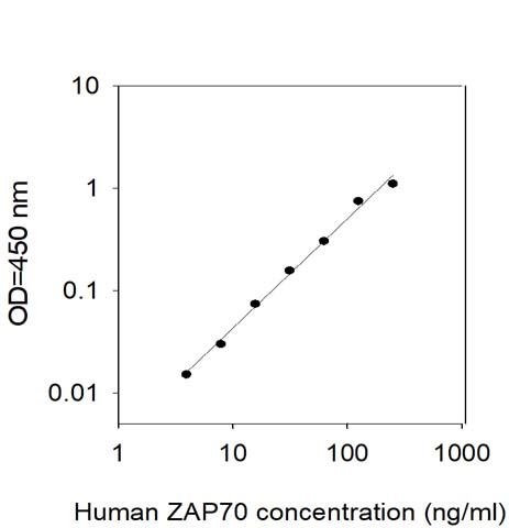 Standard Curve