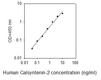 Standard Curve