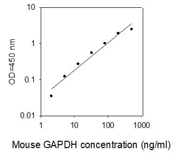 Standard curve image