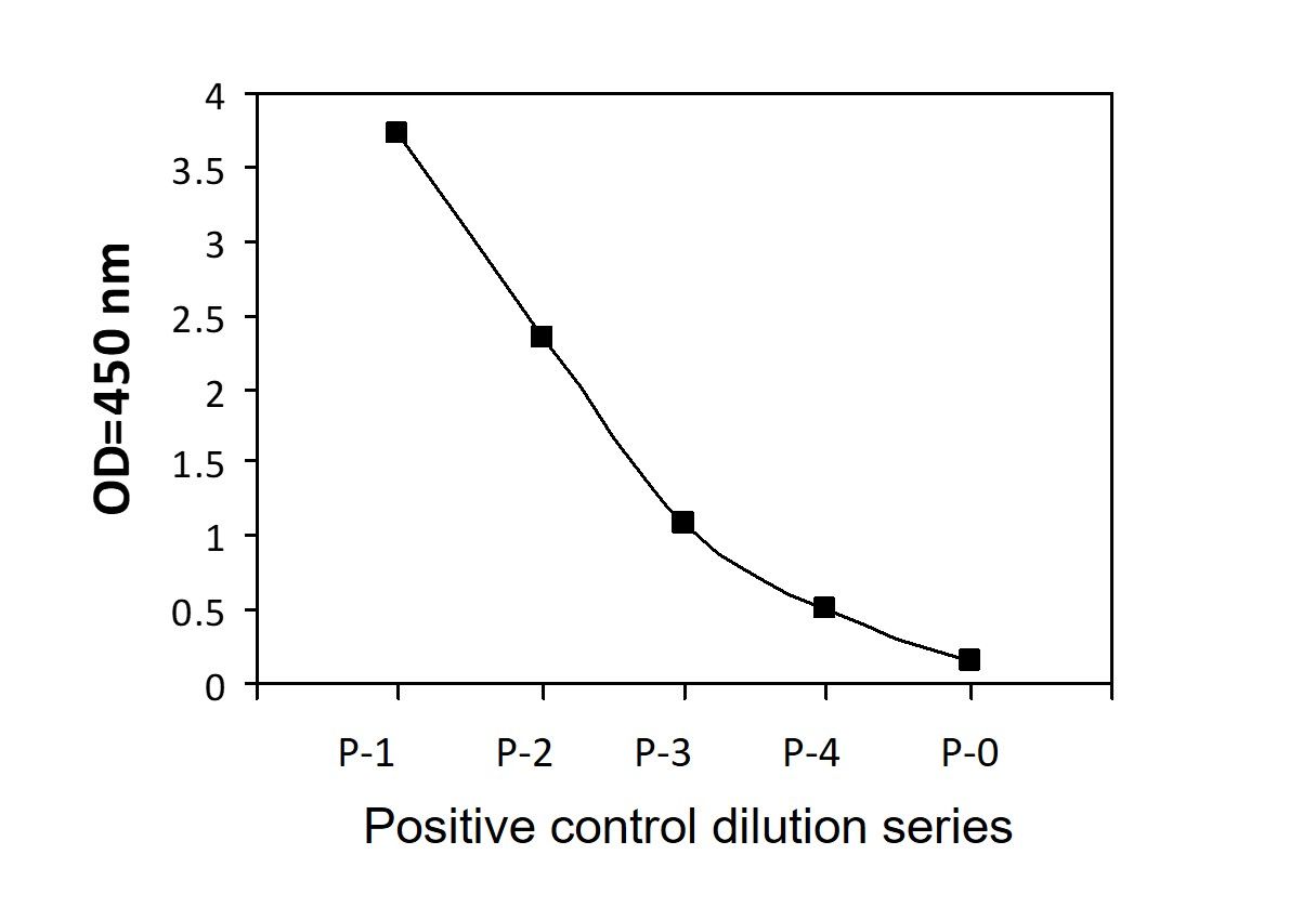CBL (Tyr774) Positive Control