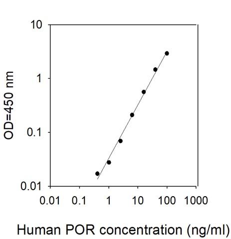 Standard Curve
