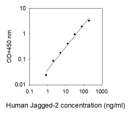 Standard Curve