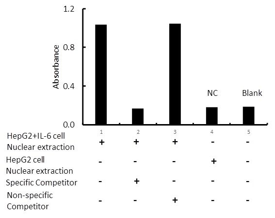 Transcription factor assay of HNF-1-alpha from nuclear extracts of HepG2 cells or HepG2 cells treated with IL-6 with the specific competitor or non-specific competitor. The result shows specific binding of HNF-1-alpha to the HNF-1-alpha DNA binding site.