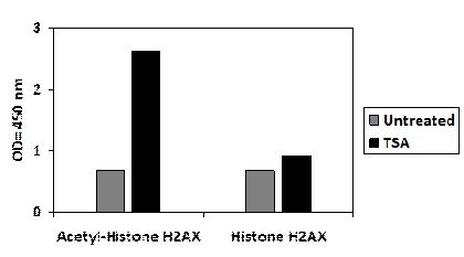 Acetylated-Histone H2AX and Histone H2AX-ELISA Kit