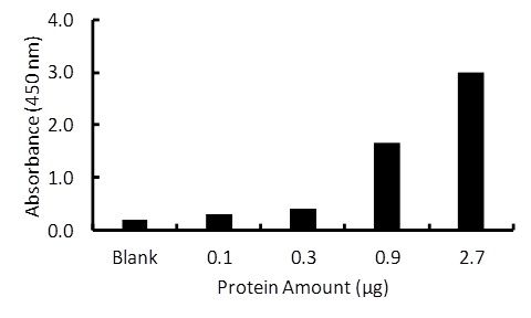 Transcription factor assay of PPAR-alpha from purified recombinate PPAR-alpha protein with RayBio PPAR-alpha TF Activity Assay Kit.