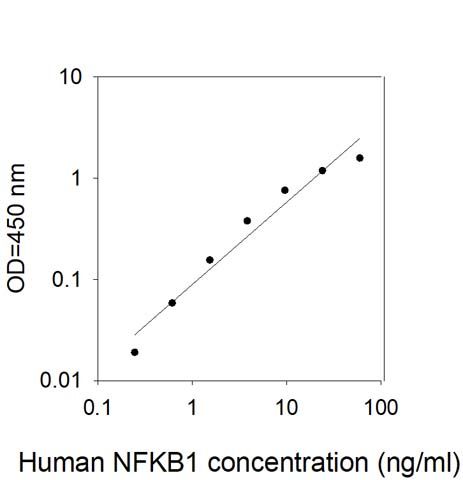 Standard Curve