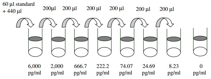 Human VEGF ELISA Dilution Series Diagram